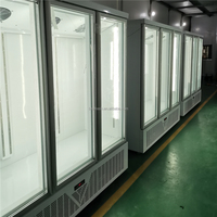 Vitrine réfrigérée verticale pour glaces, viandes et fruits de mer avec système de refroidissement par ventilateur sans givre et bande lumineuse LED