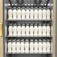 Machine à yaourt commerciale intelligente de petite taille 188L avec porte vitrée, 3 niveaux, hauteur réglable, fermentation automatique
