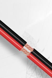 Fil <span class=keywords><strong>électrique</strong></span> RVB rouge et noir, 12 14 16 18 19 20 22 AWG, isolé en PVC, fils de cuivre nu, câbles LED - Product Image 3