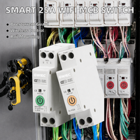 Disjoncteur intelligent WiFi 60A 1P MCB en cuivre PA66, capacité de coupure 6kA, montage sur rail, télécommande sans fil 220V