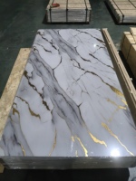Panneau mural décoratif en composite bois-plastique imperméable 1220*2440, résistant au feu, antidérapant, insonorisant, pour l'intérieur