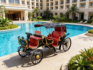 Nouvelle calèche royale électrique de luxe pour la visite des sites, avec peinture personnalisée, 4-6 places pour mariages et fêtes - Product Image 6