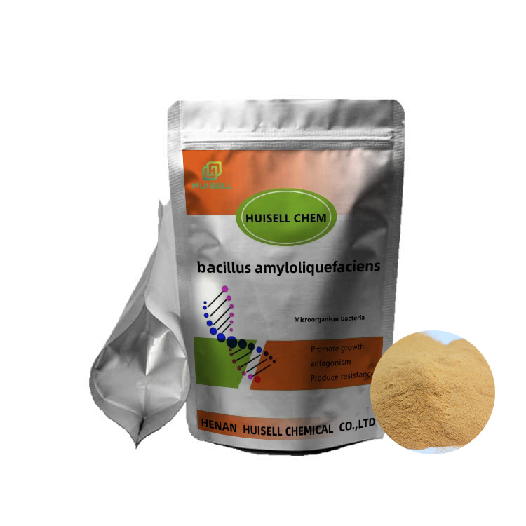Поставка порошка Bacillus Amyloliquefaciens