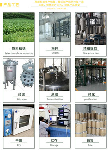 Thực phẩm bổ sung năng lượng cho nam giới, bột nhân sâm đỏ, Ginsenosides 10:1, chiết xuất nhân sâm đỏ - Product Image 3