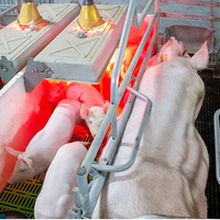 2025 nouveau Style rouge clair ampoule lampes chauffantes poulet lampe chauffante et abat-jour sevrage cochon chaleur lumière couveuse lampe pour ferme