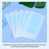 Patchs Hydrogel Rafraîchissants Mentholés à l'Herbe Naturelle d'Armoise, Sans Alcool, Longue Durée (6-8 Heures), Marque Privée, Vente en Gros
