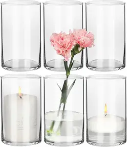 Toptan ucuz temizle zarif silindir cam vazo dekorasyon