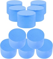 Éponge pour fourmis non marquée, 10 pièces, pour habitat et ferme d'fourmis, bouchon en éponge pour tube à essai, maison d'fourmis, éponges PVA pour fourmis