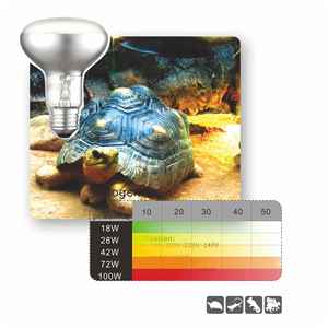 Lámpara <span class=keywords><strong>de</strong></span> Calor para Reptiles <span class=keywords><strong>de</strong></span> 25W 50W 75W 100W con Filamento <span class=keywords><strong>de</strong></span> Tungsteno, Luz Diurna, Ecológica, Certificada por la CE, Bombilla <span class=keywords><strong>de</strong></span> Calor Pequeña para Reptiles, Luz UVA - Product Image 3