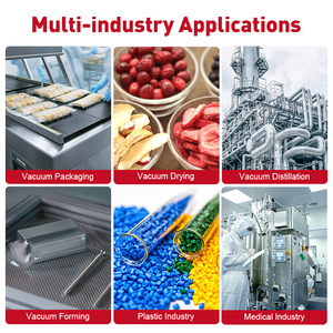 Wordfik Merk Pomp Fabrikant Pvx100d 100-120m ³/H 0.5Mbar Olie Type Rotary Vane Vacuümpomp Voor Verpakkingsmachine - Product Image 6