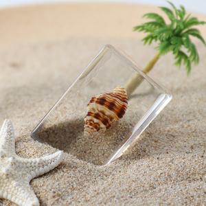 Nhựa paperweight thực vỏ ốc xà cừ Mẫu <span class=keywords><strong>Seashell</strong></span> trang trí nội thất giấy trọng lượng trang trí thủ công Quà Tặng chặn giấy cho nhà Bảng trang trí nội thất - Product Image 6