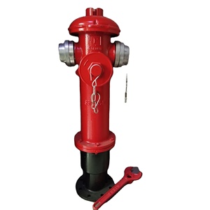 Hydrant anti-collision pour incendies au sol |   Robinet d'incendie flexible extérieur en fonte thermolaquée 2/3 voies DN65 DN80 1.6MPa - Product Image 1