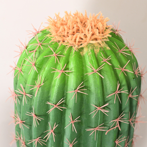 <span class=keywords><strong>Cactus</strong></span> candelabro grande y realista, moldeado por inyección, con múltiples brazos, planta tropical del desierto, decoración suculenta del tamaño de una regla. - Product Image 5