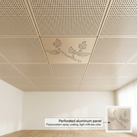 Panneau de plafond suspendu en aluminium perforé OEM d'usine, dalles de faux plafond en métal pour la décoration d'hôtels, bureaux et centres commerciaux