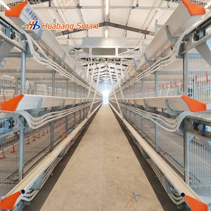 <span class=keywords><strong>Poulailler</strong></span> de volaille Conception de ventilation Cage pour poulets de chair pour l'élevage automatisé - Product Image 1