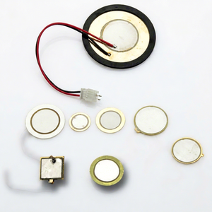 Placa de Zumbador - Product Image 1