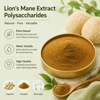 Extrait de Champignon Crinière de Lion 10% 30% Polysaccharides Hericium Erinaceus Séché / Poudre d'Extrait de Corps Fruitant de Champignon Crinière de Lion