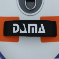 DAMA Drop Shipping Planches de planche à voile Sup Sail Wind Surf Boards Paddle Board à vendre
