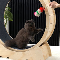 Tapis de course silencieux en bois massif pour animaux de compagnie, grande taille, roue pour chat, exercice pour planche de bois