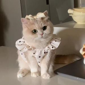 ชุดเดรสลายจุดป้องกันขนร่วง เสื้อผ้าสำหรับสัตว์เลี้ยงสำหรับฤดูร้อน ช่วยระบายความร้อน สำหรับสุนัขพันธุ์เท็ดดี้ บิชอง <span class=keywords><strong>ลูก</strong></span>สุนัขพันธุ์เล็ก และแมว - Product Image 2