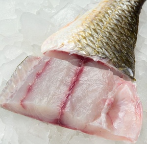 Filetto di Pesce Rosso Congelato Sicuro e Nutriente, Vendita all'Ingrosso al Miglior Prezzo, Filetto di Pesce Rosso Fresco in Vendita - Product Image 6