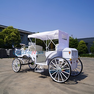 Simple White Electric Sightseeing Carriage/customized Electric Sightseeing Carriage Sells Well - Product Image 2