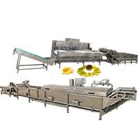 Gedroogde Automatische Ananas Appelverwerking Vriesdroge Verpakking Banaan Knapperige Appelchips Maken Machine Productielijn