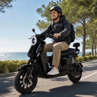 Vélo Électrique Urbain en Gros avec Moteur Arrière, Batterie au Lithium ou au Plomb-Acide 48V/60V/72V en Option, Écran Couleur, pour Adultes