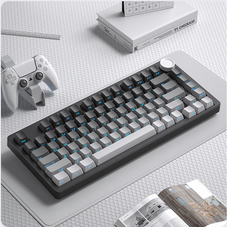 Clavier mécanique tri-mode ViewSonic KC75 [impression latérale dégradée]