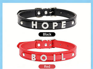 Dafeel Personalised Letter Pet <b>Collar</b> Custom <b>Name</b> Engraved Adjustable <b>Collar</b> for <b>Dogs</b> and Cats - Product Image 6