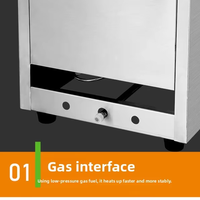 Nouvelle Friteuse à Gaz Commerciale de Comptoir à Double Cuve 12L en Acier Inoxydable avec Contrôle de Température pour Frites et Poulet