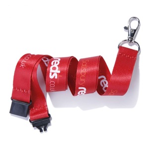 Custom High Quality Eco-Friendly Polyester Strap <b>Anime</b> Phone Lanyard Metal Hook Silk Screen Printing Custom Logo Any Size - Product Image 5