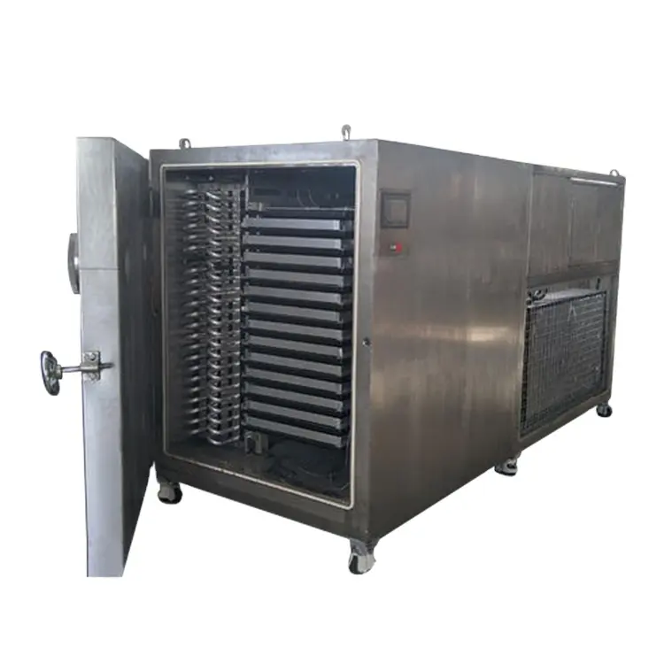중국 300KG 배치 동결 건조기 기계 식품 식품 급속 냉동 기계 동결 건조 커피 기계