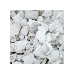 Industriële Grade <span class=keywords><strong>Calcium</strong></span> <span class=keywords><strong>Oxide</strong></span> 95% Met Beste Kwaliteit 100-600 Mesh <span class=keywords><strong>Quicklime</strong></span> - Product Image 2
