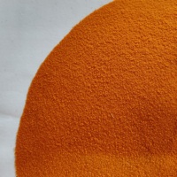 Kystes d'artémia décapsulés à haute nutrition et à haute teneur en protéines pour favoriser la croissance rapide des poissons