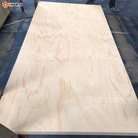 Lámina de Madera Contrachapada de Abedul Impermeable de 18 mm, 15 mm, 12 mm, 9 mm, CDX Moderno E0