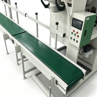 Máquina Cuantificadora Semiautomática de Doble Estación de Alta Precisión de 10-50 KG, de Acero Inoxidable 304, para Gránulos Químicos en Sacos Tejidos