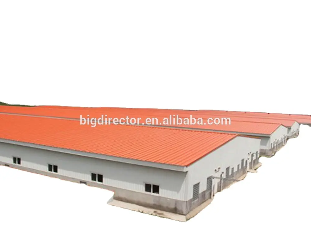 China Metal Frame Prefabricated Pig Farm House Building Steel Structure Manufacturers Construction