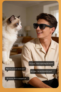 แว่นตาอัจฉริยะ E09 AI พร้อมกล้อง 8MP บันทึกวิดีโอ ระบบจดจำ AI แปลภาษาแบบเรียลไทม์ แว่นกันแดดอัจฉริยะสำหรับการประชุมทางธุรกิจ - Product Image 4