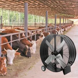 48 дюймов Мощный промышленный вентилятор переменного тока большой стоячий барабанный вентилятор для домашней птицы используется Электрический вентилятор