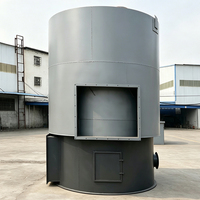 Système de chaudière thermique à huile verticale à granulés de bois de 120 kW à économie d'énergie pour hôpitaux et écoles