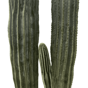 CHUANGFA 70cm PU <span class=keywords><strong>Cactus</strong></span> Artificial Venta caliente al por mayor personalizado barato plástico simulación desierto plantas para el hogar interior para - Product Image 4