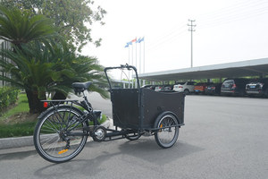 Lo Más Nuevo en Ventas: Bicicleta Familiar de 3 Ruedas para Adultos, 6 Velocidades, Modelo UB-9019 UB9019 2015, 6 Velocidades para Adultos UB901 - Product Image 6
