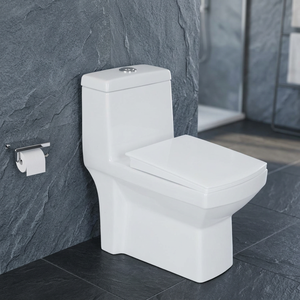 WC monobloc en céramique blanche avec siphon en P, désodorisant, à poser au sol, fourniture d'usine - Product Image 6