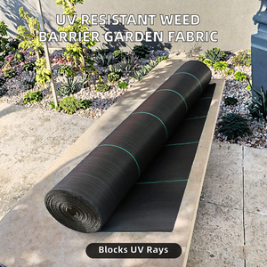 Membrane anti-mauvaises herbes en plastique en gros, toile tissée en PP, tapis de paillage, tissu paysager, couverture de <span class=keywords><strong>sol</strong></span> agricole - Product Image 2