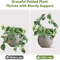 Support de fleurs en acrylique créatif en pot pour le jardinage à la maison Support d'escalade pour l'arrangement de fleurs de vigne