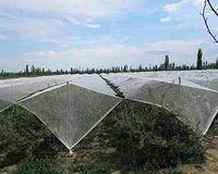 Filet anti-grêle HDPE Protéger les vergers Jardin Filet anti-grêle agricole Filet anti-oiseaux