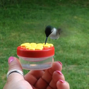 Alimentador de plástico do hummingbird da mão - Product Image 6