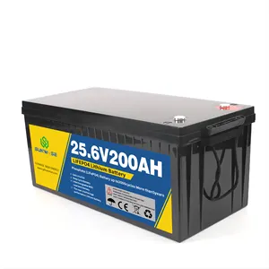 Rechargeable 24v Batterie Lithium Ion Lifepo4 Battery Pack 24V 100ah 200ah 300ah 24v Lithium Battery