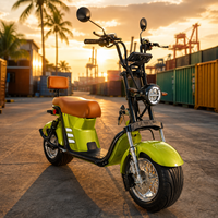 Brezilya Kapıdan Kapıya Citycoco Elektrikli Scooter 1000W 60V20A Depo Stoğu Yetişkin Şişman Lastikli E-Scooter